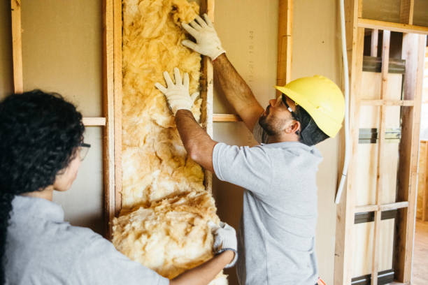 Best Insulation Replacement  in Jerome, ID